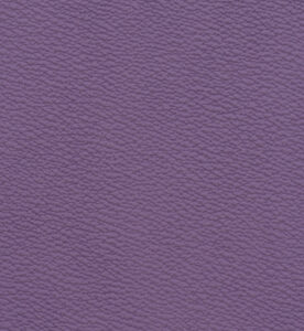 G679